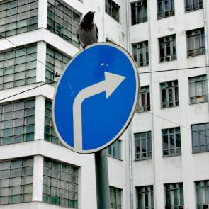 ���� ��������: 