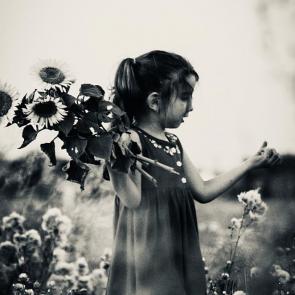 ׸���-����� ���������� �����