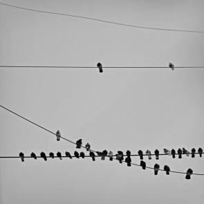 ����: ������ ��������� 