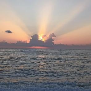 ����: ����� ������