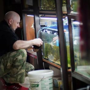 ���� � �������