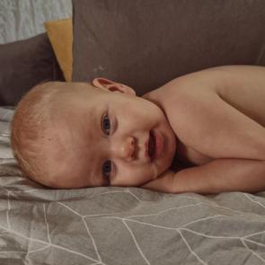 ����: �����������