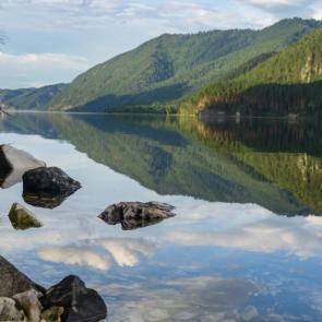 ���� ��������: ���������