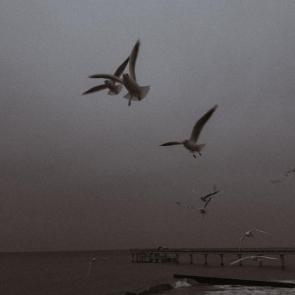 ���� ��������: ����� ��� ����� 