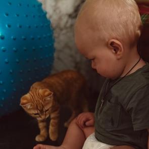 ���� � �������