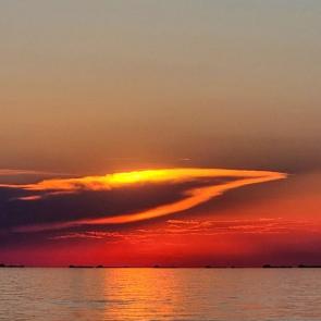 ����: �����