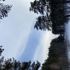 ����: ������