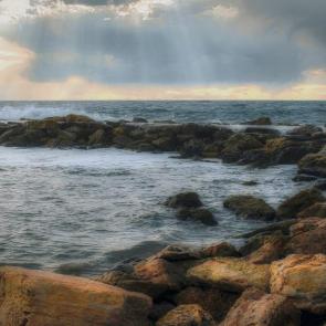 ����: ����������� ����.