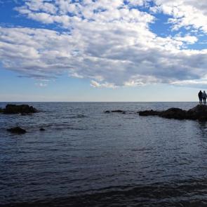 ����: ���������.