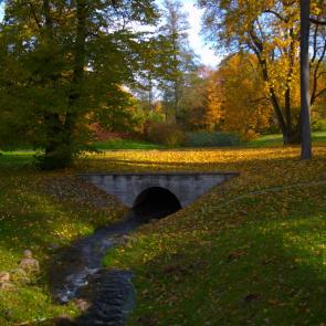 ����: ���� �����������