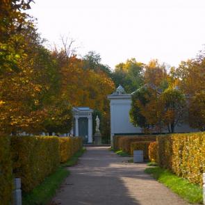 ����: ������ ���� � ���������