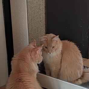 ����: ������ � �����