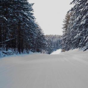 ����: ������ ����� �������� ���