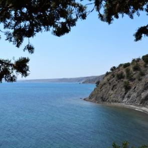 ���� ��������: ������