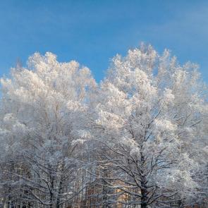 ���� ��������: ����� ����!