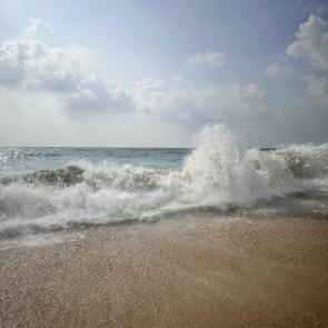 ����: ���� ���������