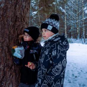 ����: �����������