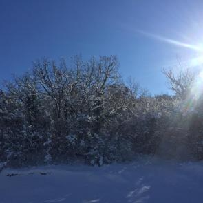 ����: �������� ��������