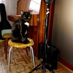 ����: � ���������� �����? ������ �����!