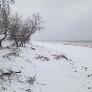 ����: ����� ��������� N5