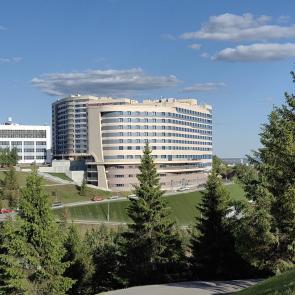 ����: ����� Hills Garden