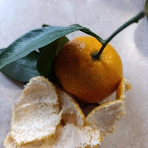 ���� ��������: ���������� � ���������