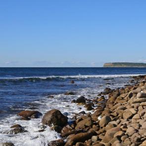 ���� ��������: �������