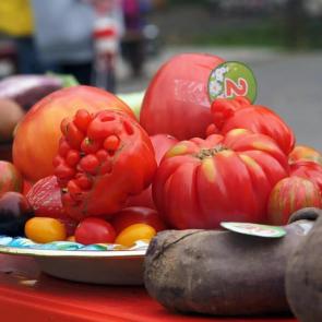 ����: �������...