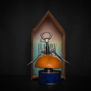 ����: ��������