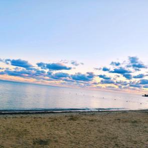 ����: �����