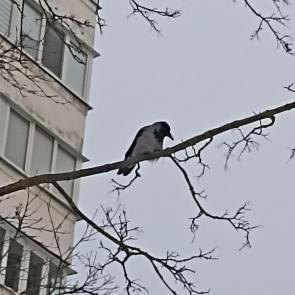 ���� ��������: ��������� ������ 