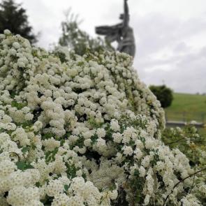 ���� ��������: ������-����