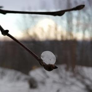 ����: ��������� ��� ����