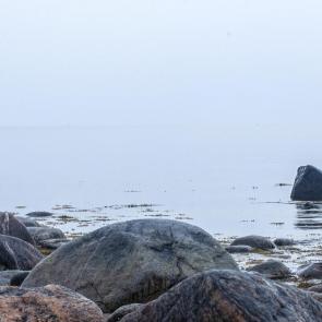 ����: ����� ����