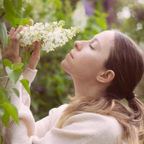 ����: ��� ������ �����