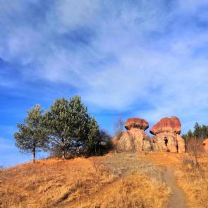 ����: ������� �����