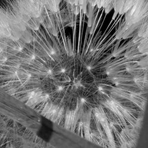 ����: ��������� �������...