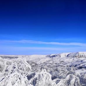 ����: ������ ������