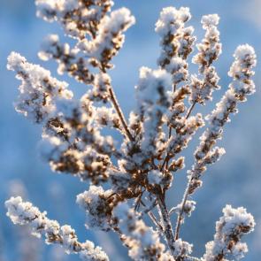 ����: � ����� ������