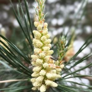 ����: �������� �����