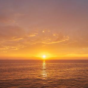 ����: ����� �� �������� ����