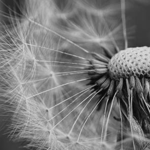 ���� ��������: 