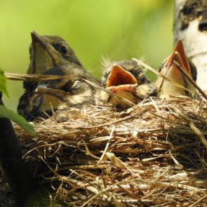 ����: � ������