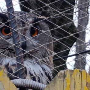 ����: �� ��, ���� ������