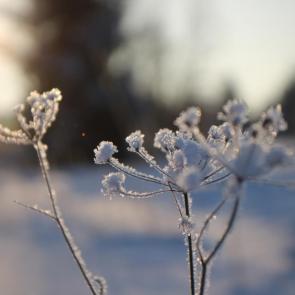 ����: � �������� ����