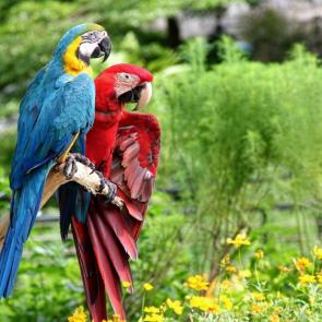 ����: �������� �� �����