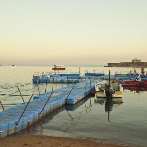 ����: ������� ����. �����...����...