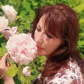 ����: ������� ��������