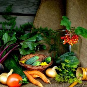 ����: �� ����