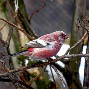 ����: �������� ��� ������.